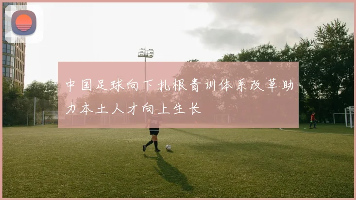 中国足球向下扎根青训体系改革助力本土人才向上生长