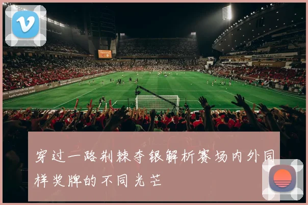 穿过一路荆棘夺银解析赛场内外同样奖牌的不同光芒